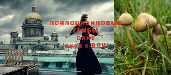 экстази Белокуриха