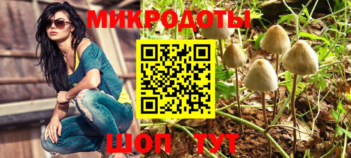 наркотики  Псилоцибиновые грибы прущие грибы  Кушва  Вход с VPN  Псилоцибиновые грибы мицелий 