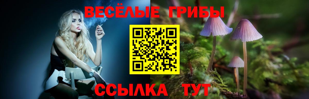Псилоцибиновые грибы Cubensis Кушва