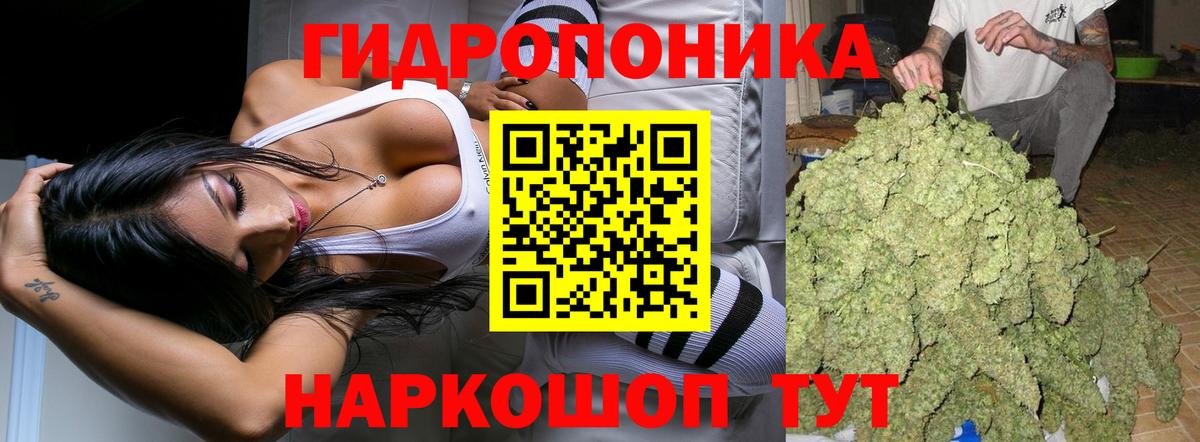Бошки Шишки конопля Кушва